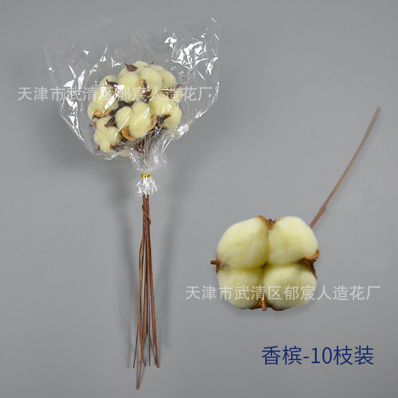 綿の単枝永生木綿の乾燥花をシミュレーションします。|undefined