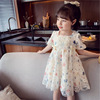 Summer small princess costume, lace skirt, dress, Korean style, western style