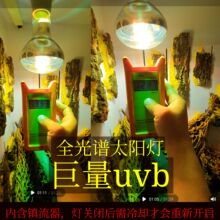 ���x������Ӝؼӟ��ȫ���V̫ꖟ�uvb��uva���������ɢ�B��