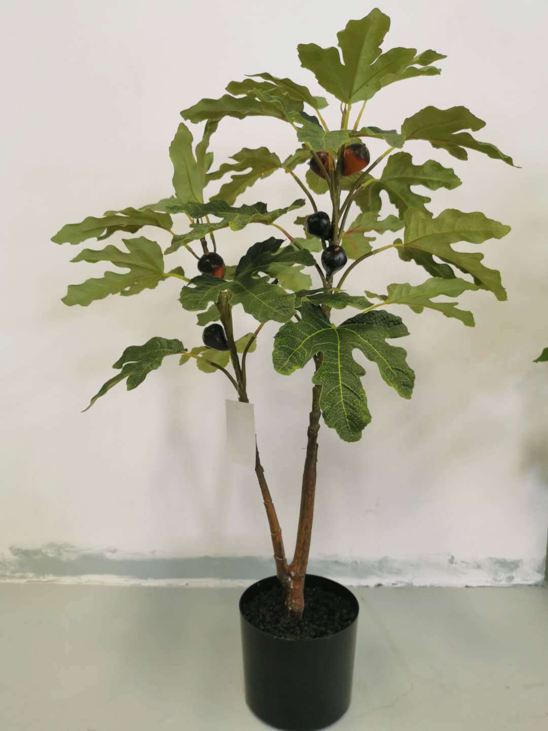 La fábrica se especializa en el suministro de productos de jardinería de plantas verdes