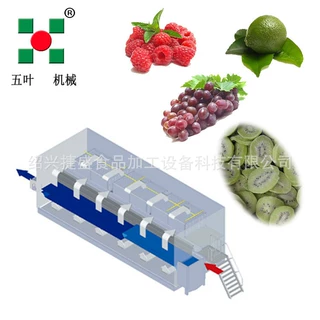 花椰菜流态速冻机 玉米粒速冻设备 蓝莓单体冷冻大型食品机械