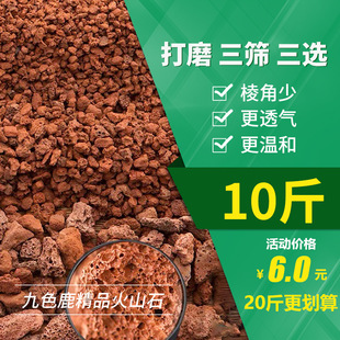 Free Shipping 10kg Volcanic Stone Succulent Orchid Mixed Soil Granules Nutrient Soil Paving Base Aquarium Volcanic Rock