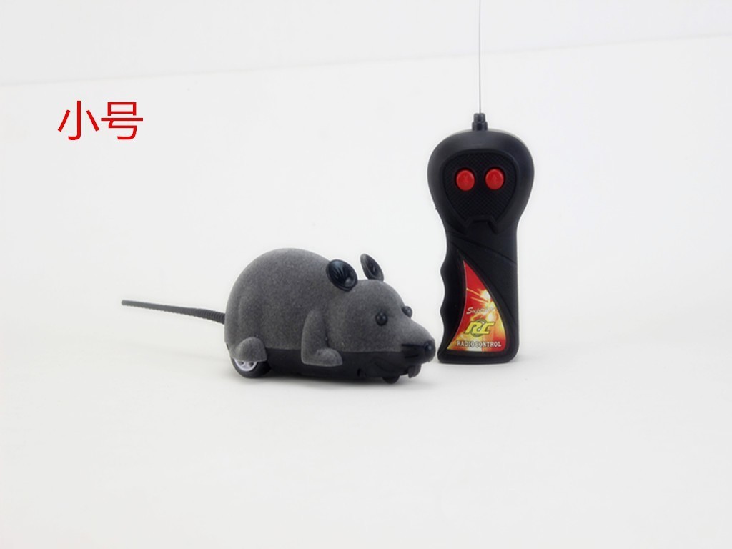작은 회색