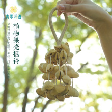 印尼果壳铃手摇铃果实坚果伴奏疗愈乐器音束音色正夹竹桃小串