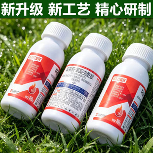 30%߻�x������x���� �������x���x�����x�wʭ���l