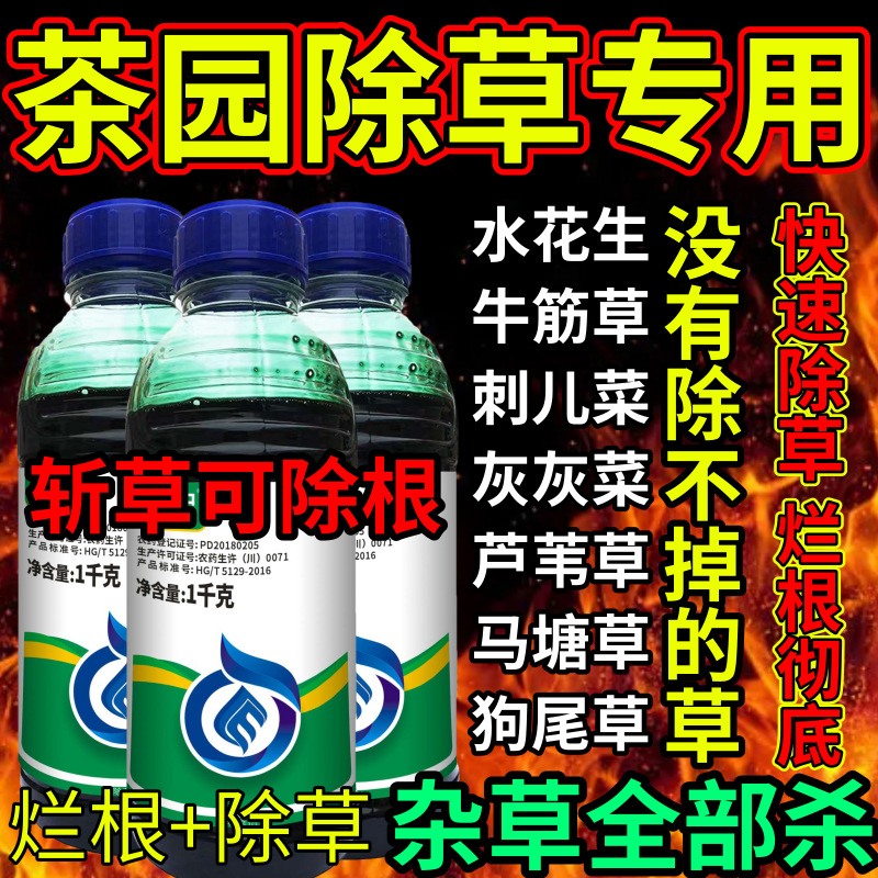 茶园除草专用死根烂根草剂斩草除根荒地果园专用除草剂草铵膦除草