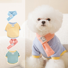 秋冬季狗狗衣服马卡龙色小熊打底衫泰迪比熊小型犬宠物衣服送围巾