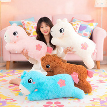 С�R��ż����đ�ɲ�ϴë�q�������ǫF����ɳ�l����˯�X�A���L�l��