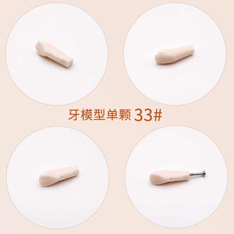 Práctica dental resina de partículas dentales dispersa simulación de partículas dentales de resina dientes aislados dientes enteros 28 / 32 partículas dentales