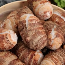 �F�����^������rţ��С���^ë���^���󑪼��߲����^��ܵ��Ŵ���l