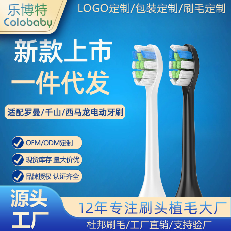 Electric Toothbrush Head Adapted To Roaman Roman/Cimarron/Qianshan Replacement Toothbrush Head Direct Sale