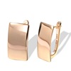 Fashionable glossy earrings, golden accessory, European style, Korean style, pink gold, wholesale