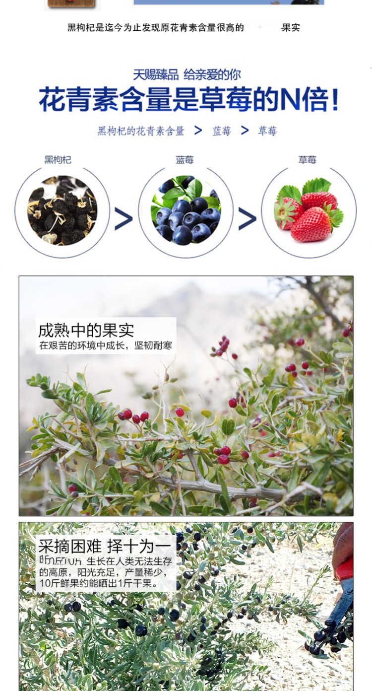 Qinghai Black Goji Berry Gift Box Large Dried Fruit for Tea and Wine Soaking 250g overview