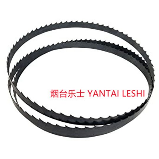 R source supply 1650mm model Bone cutter saw blade machine saw blade 250 bone saw blade