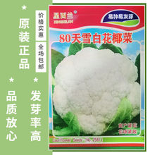 【新种80天】雪白花菜种子抗病不易松散花椰菜种子耐热抗寒蔬菜籽