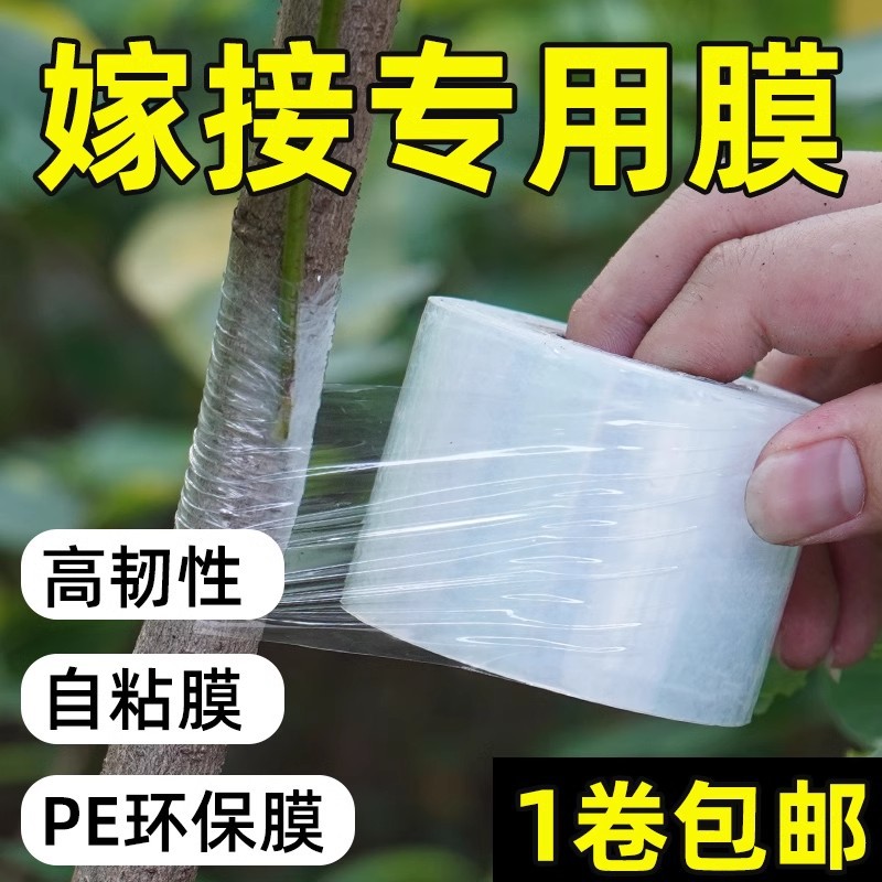 嫁接专用膜园林果树嫁接胶带免拆PE自粘膜稼接膜接树膜胶带薄膜
