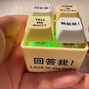 New Product Answer Me Pronunciation Luminous Keychain Decompression Button Tell Me Why Toy Fun Gift for Friends