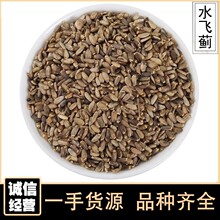 ˮ�w�E500gˮ�w�E��ˮ�w��ˮ�wӋˮ�w�E����ș���l���lɢ�b��؛
