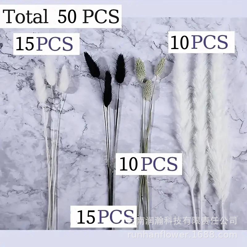 조합 50-2-(상자 없음)