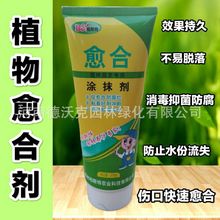 ֲ��������ϸ���ľ���䚢�����τ���ľ�����޼��޽������TĨ��