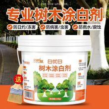 ��ľ��ɉT�ׄ����ˢ�׈@���辰��U������x������������ʯ�ҷ�