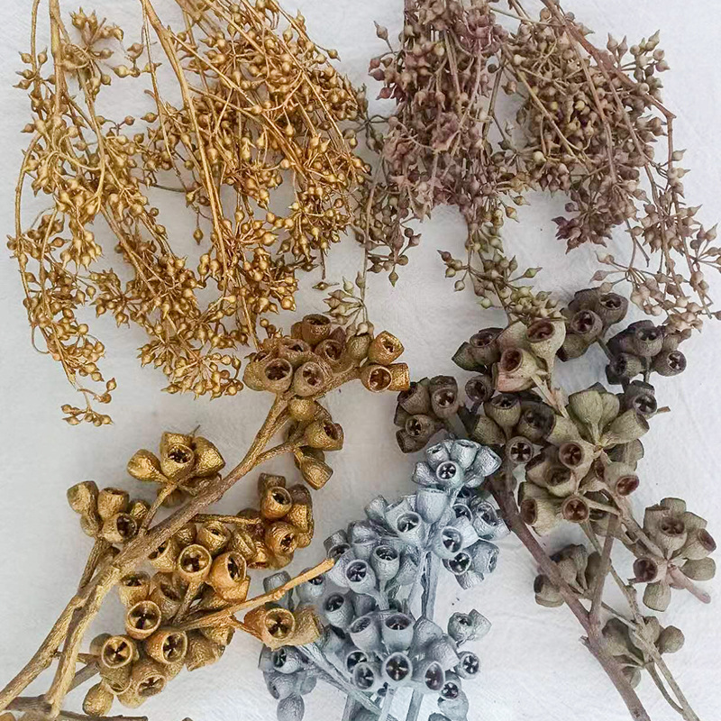 Zombie Fruit Millet Fruit Natural Dried Fruit DIY Handmade Material Home Decor Flower Material Yunnan Factory Direct Sale