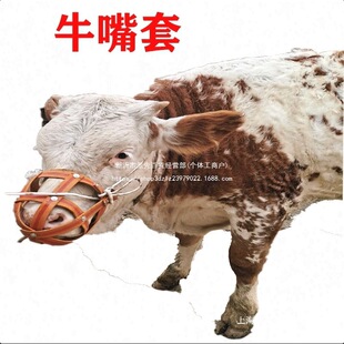 ��\�Ӻ��Sֱ�N�R����ţ�R��\��ţ�\�^�������Rţ����Ԗ|��