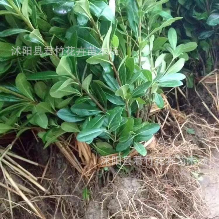 微信图片_20230828140050