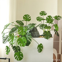 �����ָ������~���~�Ӵ����B���~�ҾӔ[�������쾰ֲ��b�