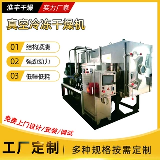 淮丰厂家定制肉类冻干机食品水果歇式低温冻干设备真空冷冻干燥机
