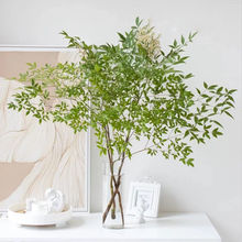 ˮֲ҃ȺBRRľƽGֲˮBӼr֦