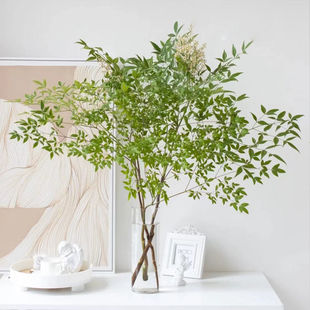 ������ˮ��ֲ���҃Ⱥ��B���R�R��ľƽ��Gֲˮ�B�Ӽ������r��֦��