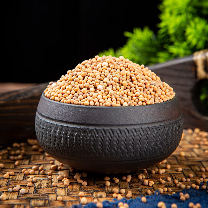 White Mustard Seed Bai Jie Zi 500g Dried Sinapis Alba Seeds Raw Herb for Traditional Decoctions quality and texture