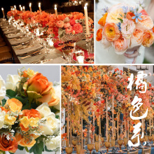 ��ɫ ��ɫϵ ��Y����`�� ���滨����������c�[�� ��c���滨ˇ