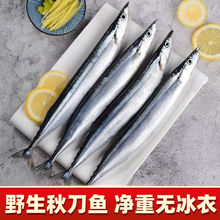 秋刀魚深海新鮮活冷凍水產馬鮫魚海鮮日式燒烤食材海魚批發獨立站