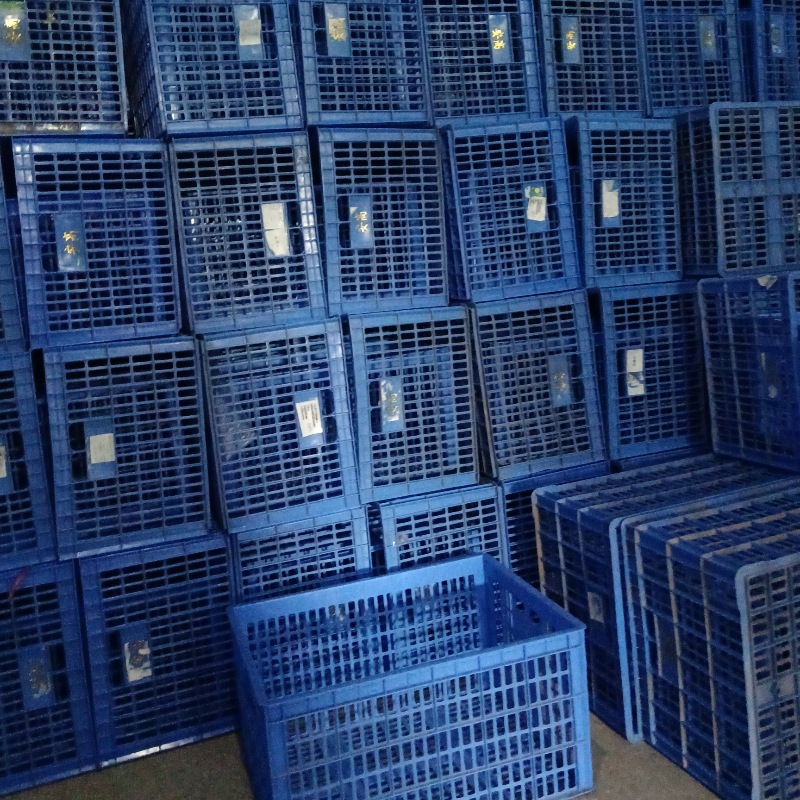 大量现货二手塑料大胶框 小胶筐 二手胶箱 密封网格塑料周转箱 黑