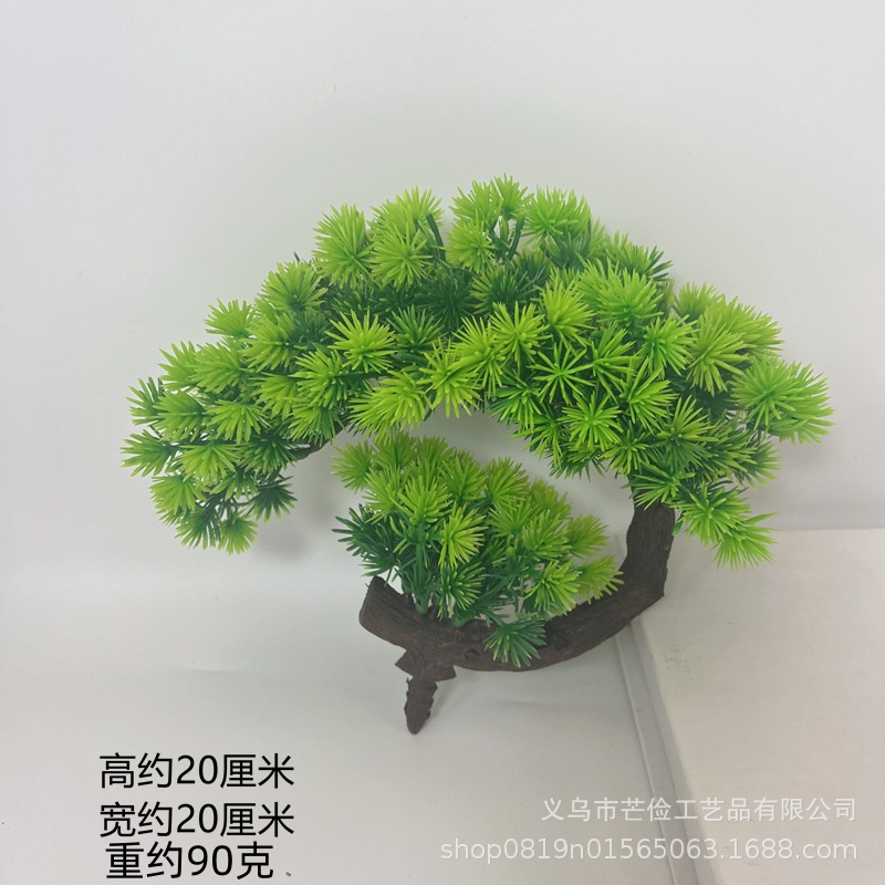 크레센트 베이 웰컴 파인 [분지 없음]