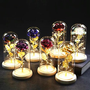 ������Ů�cҰ�Fõ�廨LED�� �����õ�廨 ���˹��Y�� �ʺа��b