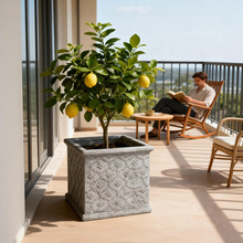 V໨pݸ߼мBlؔ辰͸ⱱWL