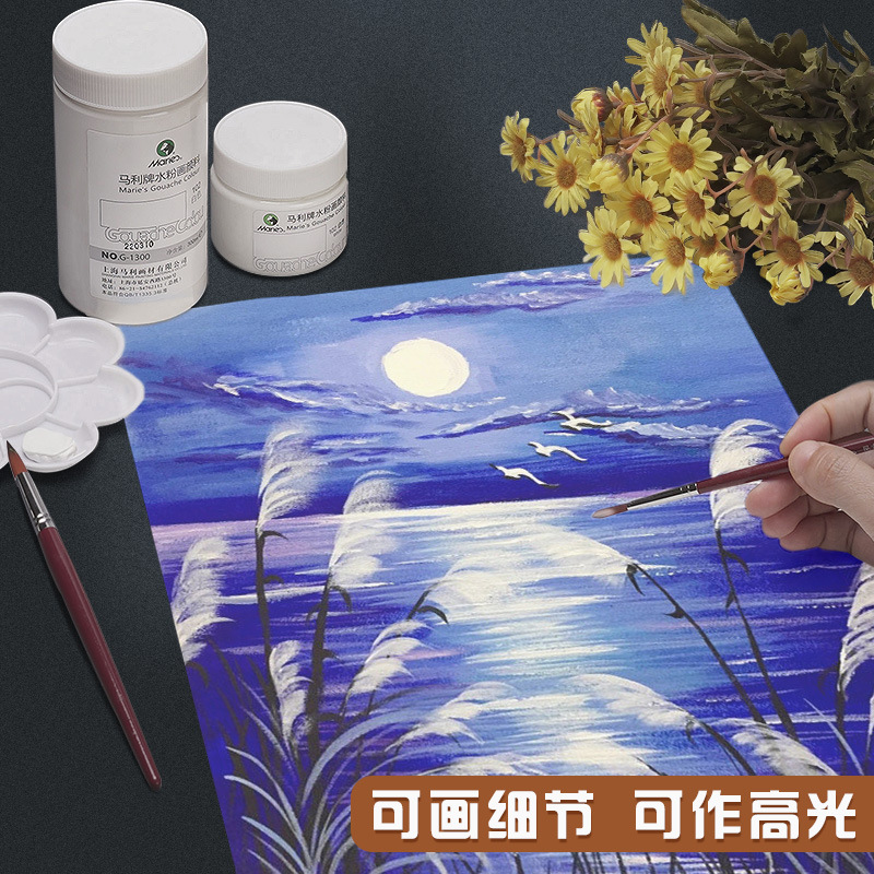 Mali brand white water powder pigment titanium dioxide supplementary set for art students, elementar