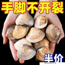 5.1�f�˺��u���Ϻ��������o��˪����������Ѹ���������ֱ�N�S��