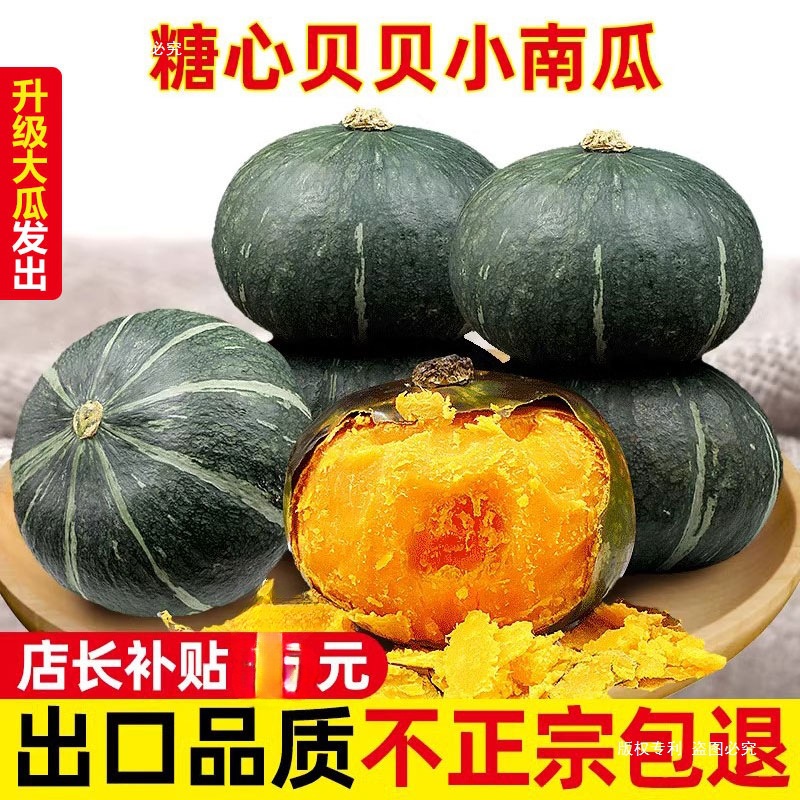 惠和一号贝贝小南瓜5斤山东老熟粉面板栗味婴儿辅食进口种源