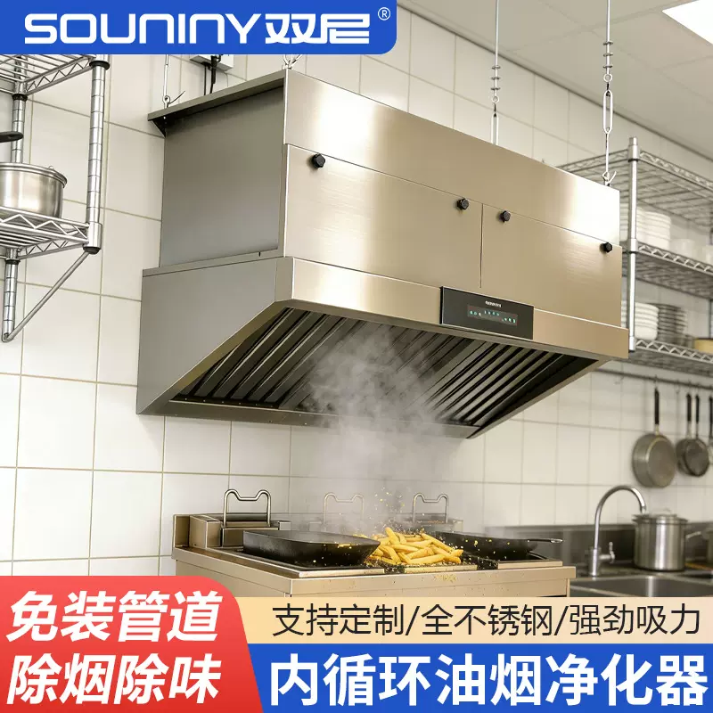 双尼油烟净化一体机商用内循环烧烤店后厨商铺厨房无管道大吸力