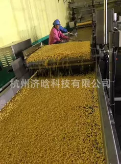 糯玉米粒速冻加工生产线设备
