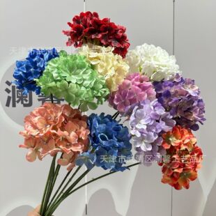 3D��ӡ72Ƭ��֧�����ǽ����c���滨��Y�ò������Ų廨�ҾӔ[�O