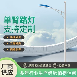 景观灯;路灯;高杆灯