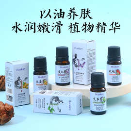 韩纪艾草精油10ml玫瑰生姜薰衣草草本植萃精油美容院按摩精油批发