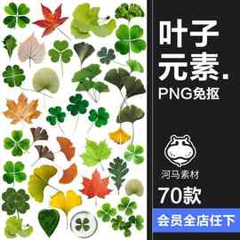 植物绿叶子四叶草杏叶枫叶电子手账png免扣装饰元素美工图片素材