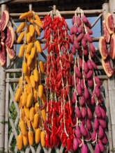 �߲˴��r����ģ�͒�����������������r�Ҙ��ͥԺ�b�