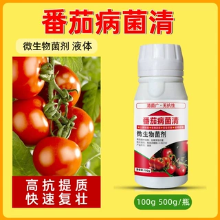西红柿番茄病菌清立枯病病毒病叶霉病疫病叶斑病枯萎病农药杀菌剂